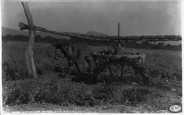 [Irrigation wheels turned by donkey at Ahualulco, Jalisco, Mexico], 1884