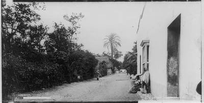 Cuautla street view, 1884