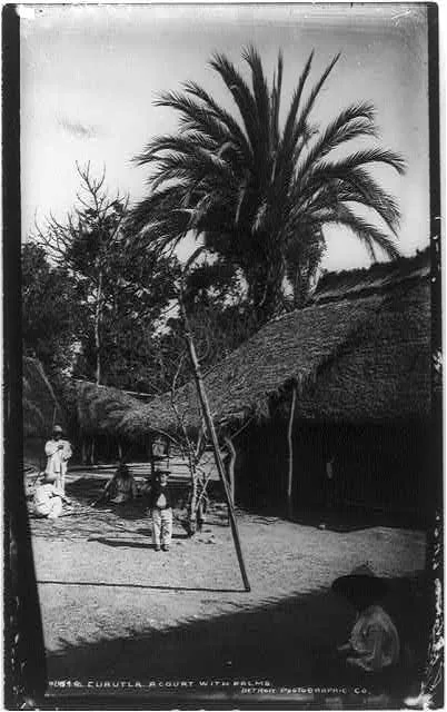 Cuautla - a court with palms, 1884