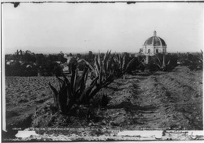 [Mexico]: View in Ixtapalapa, 1884