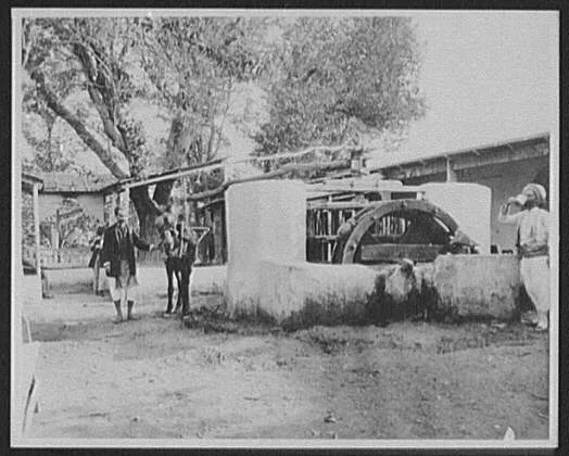 Tunis - an old water-wheel in the suburbs of Tunis, Tunis, Tunisia, 1894