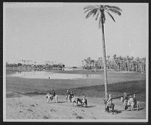 WTC [i.e. World Transportation Commission] on the site of ancient…, Egypt, Memphis, 1894