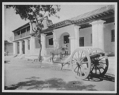 Tuticorin - water buffalo & large cart before old Portugese house, India, Tuticorin, 1895