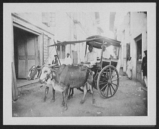 Bombay - bullock (jut) cart on narrow street, India, Bombay, 1895