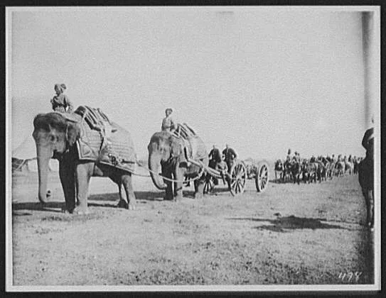 Elephant battery of heavy artillery along the Khyber Pass at…, Pakistan, Campbellpore, 1895