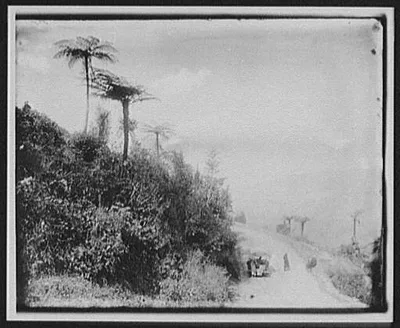 On the East Bengal Railway looking toward Himalayas, India, Himalaya Mountains, 1895