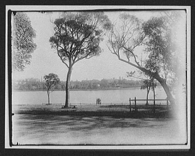 View of park and water, New Zealand, 1895