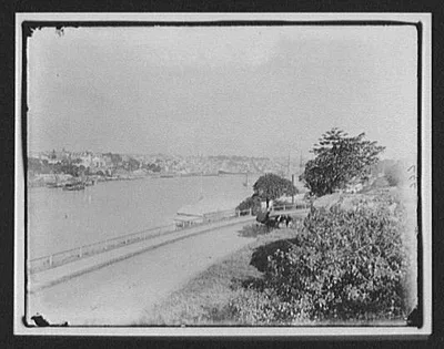 Horse-drawn carriage on road overlooking waterfront, New Zealand, 1895