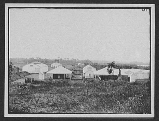 Plantation or small village, New Zealand, 1895