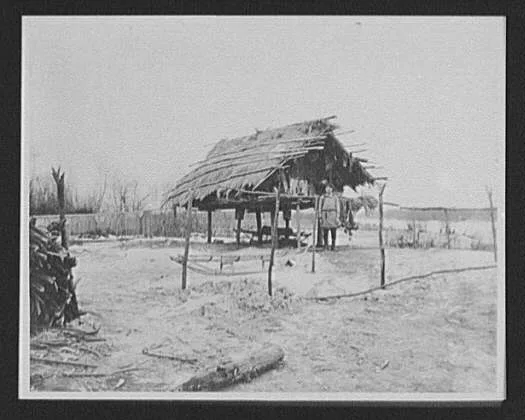 Goldes man in front of thatched-roof store-house built on stilts, Russia, 1895