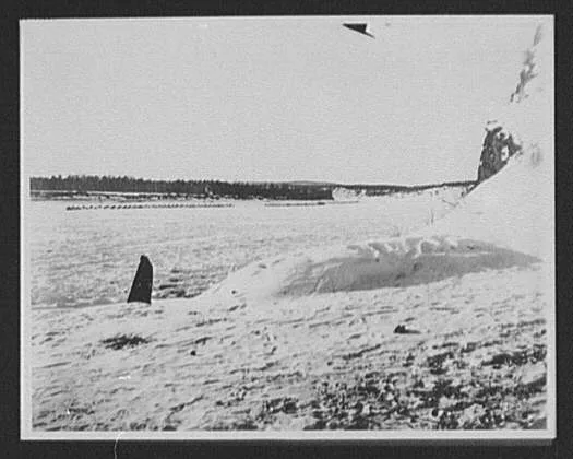 Bactrian camels of a military caravan on the Amur River, distant view, Russia, Amur River, China, 1896