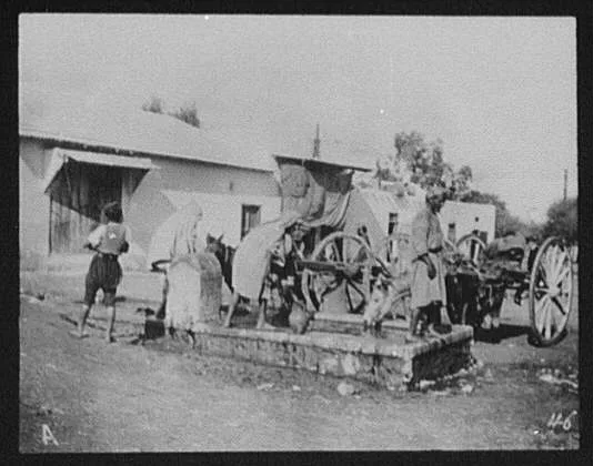 Tunis - a watering place, Tunisia, Tunis, 1894