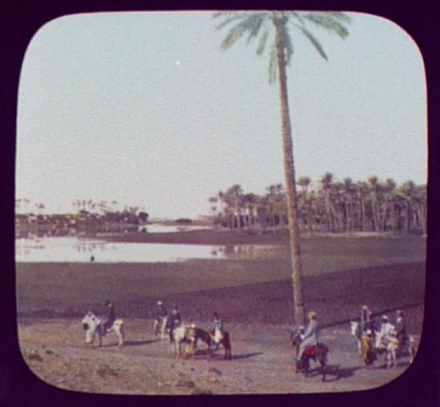 WTC [i.e. World Transportation Commission] on the site of ancient…, Egypt, Memphis, 1894