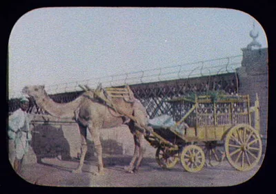 Camel-drawn carriage in front of bridge, Egypt, 1894