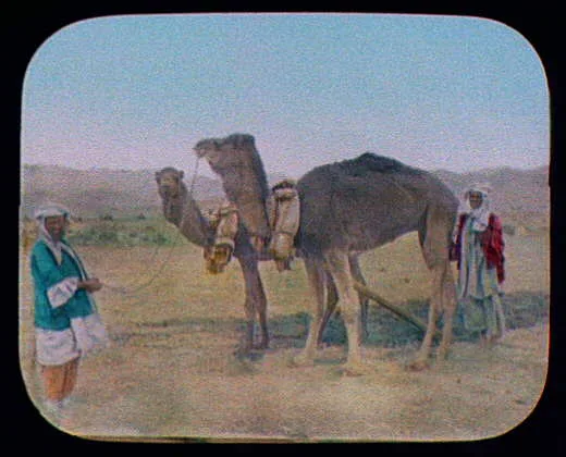 Two Arabs with camels - Sinai (?), Egypt, 1894