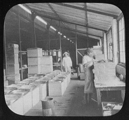 Maria Watta tea factory scene - soldering and packing the boxes, Sri Lanka, 1895