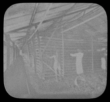 Tea factory scene - in the withering loft, Sri Lanka, 1895