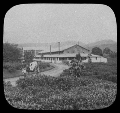 Planter in ricksha in front of Maria Watta tea factory near Gampola, Sri Lanka, Gampola, 1895