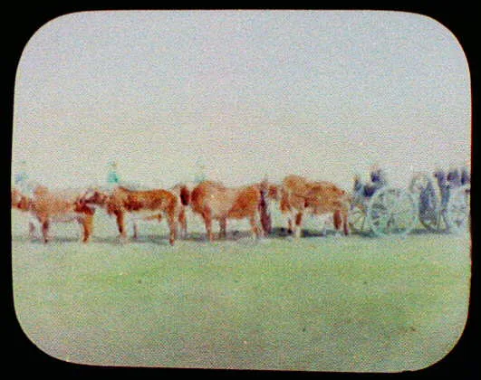 Ox-drawn caissons at Campbellpur [sic], Campbellpore, Pakistan, 1895