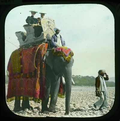 Ladies riding on elephant, India, 1895