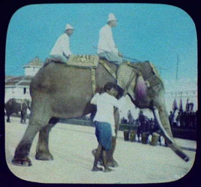 Bangkok - 2 men on sacred white elephant; palace wall in background, Bangkok, Thailand, 1895