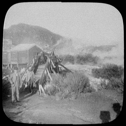 Two men, one holding 4 chickens at foot bridge - Hot Springs, New Zealand, 1895