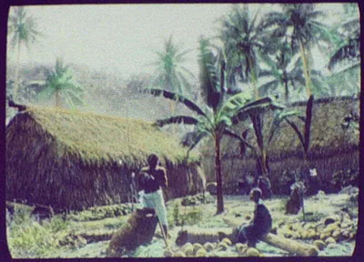 Natives in front of thatch-roofed buildings, Fiji, 1895