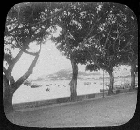 View of harbor from tree-lined boulevard, the Praya Grande, Macao, 1895