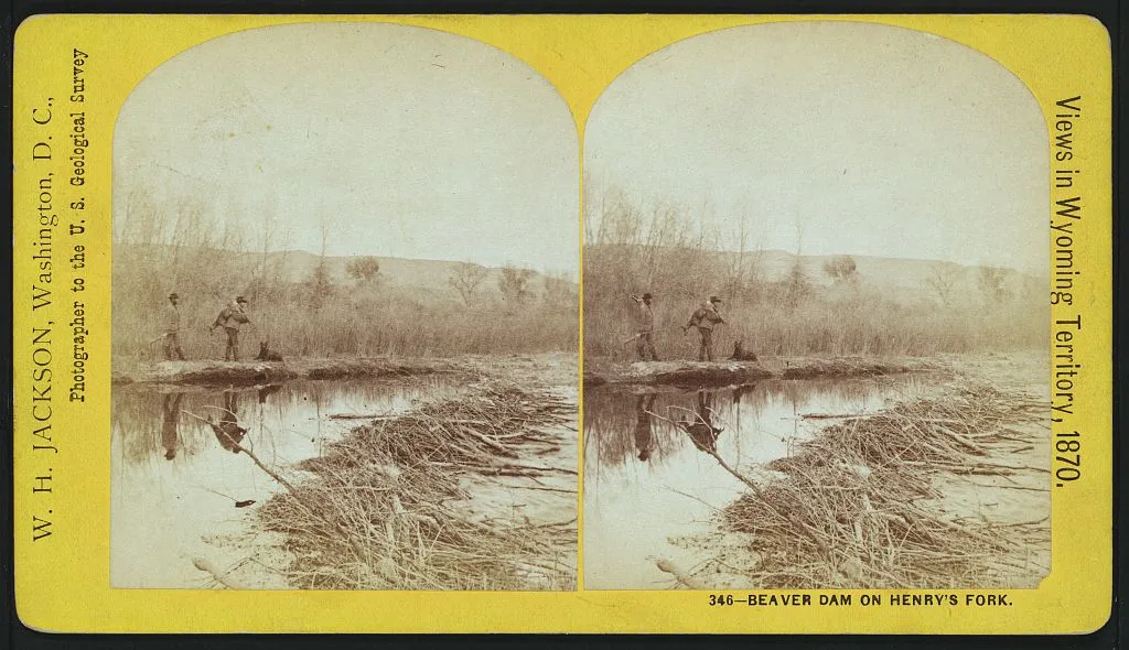 Beaver dam on Henry's Fork, 1870