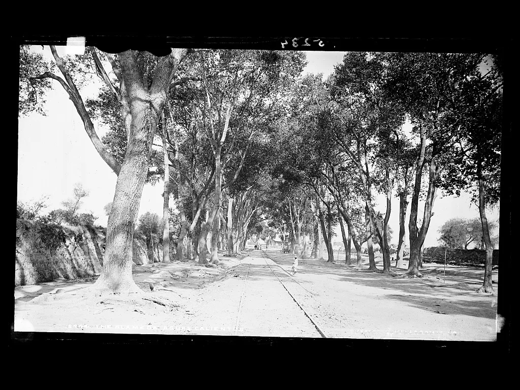 The Alameda, Aguas Calientes, Aguascalientes (State), 1880