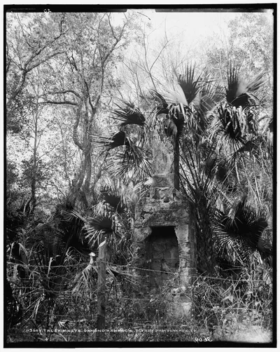 Chimneys, Ormond hammock, The, Florida, 1880