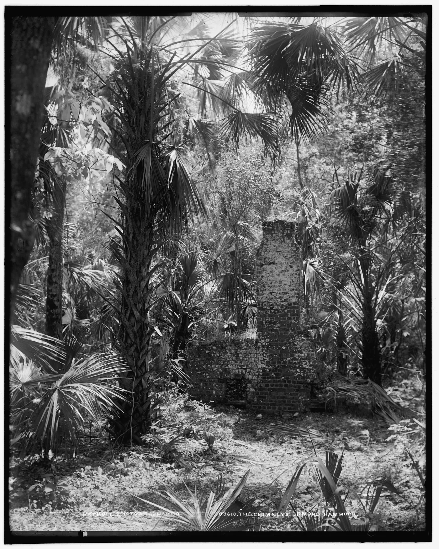 Chimneys, Ormond hammock, The, Florida, 1880