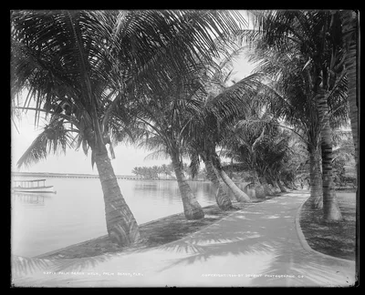Palm Beach walk, Palm Beach, Fla, Florida, 1900