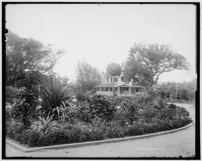 Cragin's flower garden, Florida, 1880