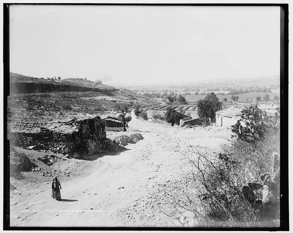 Valley of Mexico so[uth] from Barrientos, Mexico, Barrientos, Queretaro, Mexico, 1880