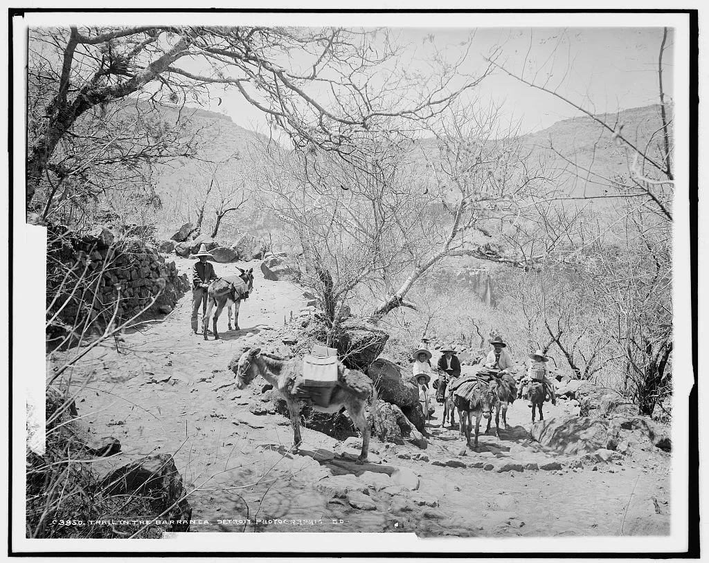 Trail in the Barranca, Mexico, Barranca De Oblatos, 1880
