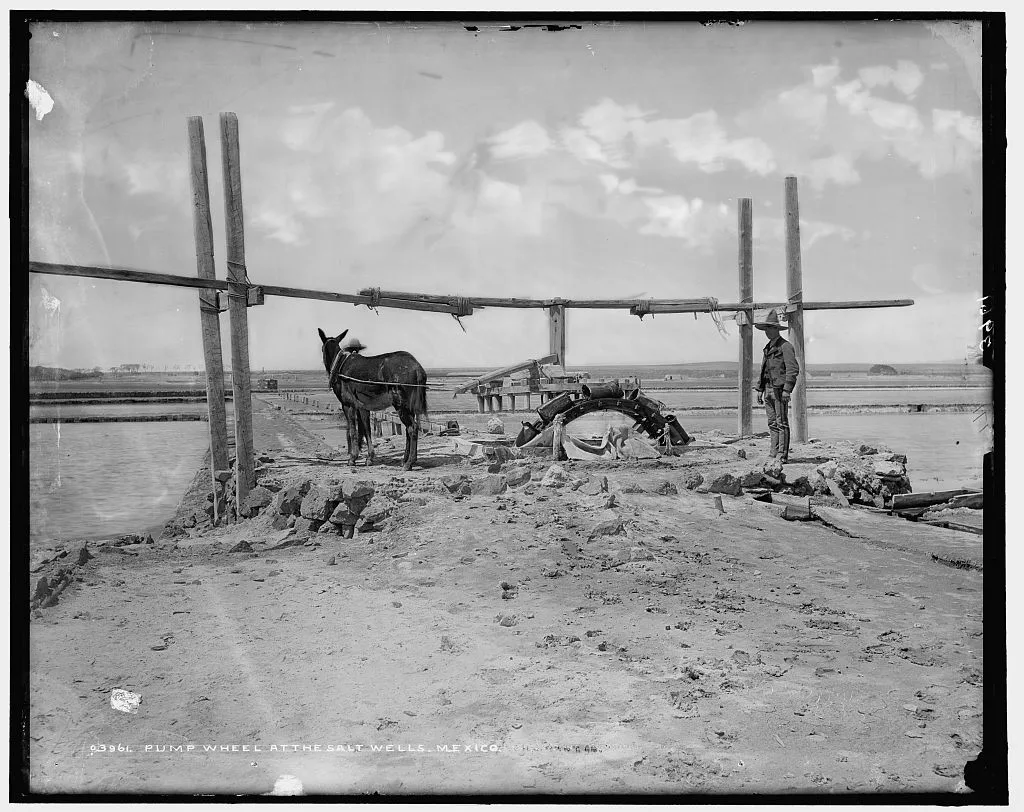 Pump wheel at the salt wells, Mexico, 1880