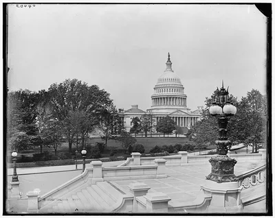 Capitol f[rom] library steps, Washington, D.C. The, District Of Columbia, 1880