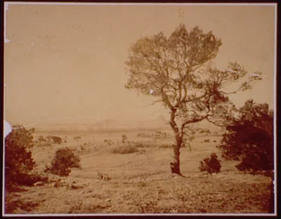 Photograph from 1879: The Spanish Peaks