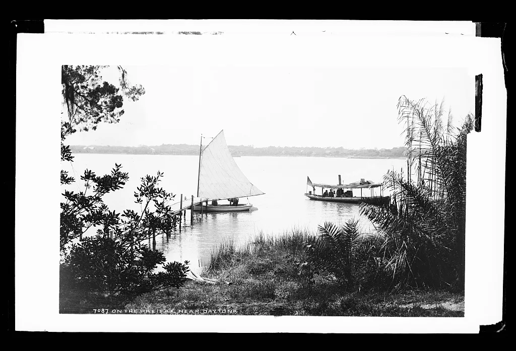 On the Halifax near Daytona, Florida, 1880