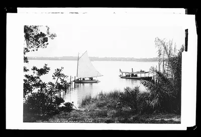 On the Halifax near Daytona, Florida, 1880