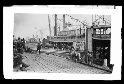 On the levee at New Orleans, Louisiana, 1880
