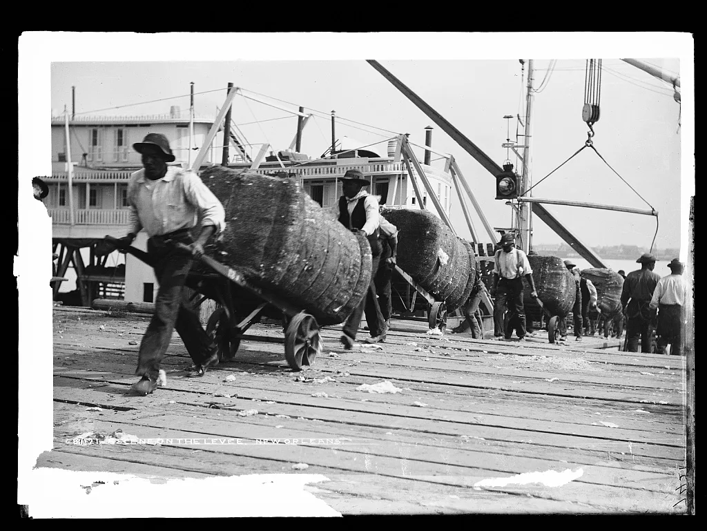 A scene on the levee, New Orleans, Louisiana, 1880