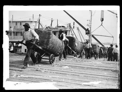A scene on the levee, New Orleans, Louisiana, 1880