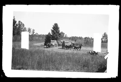 Cotton bales on the way to market, 1880