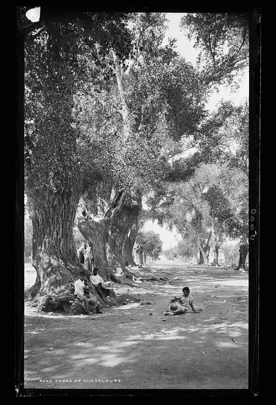 Paseo of Guadaloupe, Mexico, Chihuahua, 1880