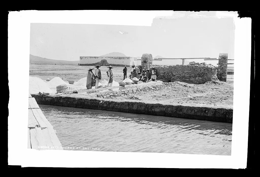Salt works at Salinas, Tampico (Tamaulipas), Mexico, Tampico, Tamaulipas, 1880