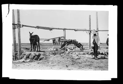 Pump wheel at Salinas, Tampico (Tamaulipas), Mexico, Tampico, Tamaulipas, 1880