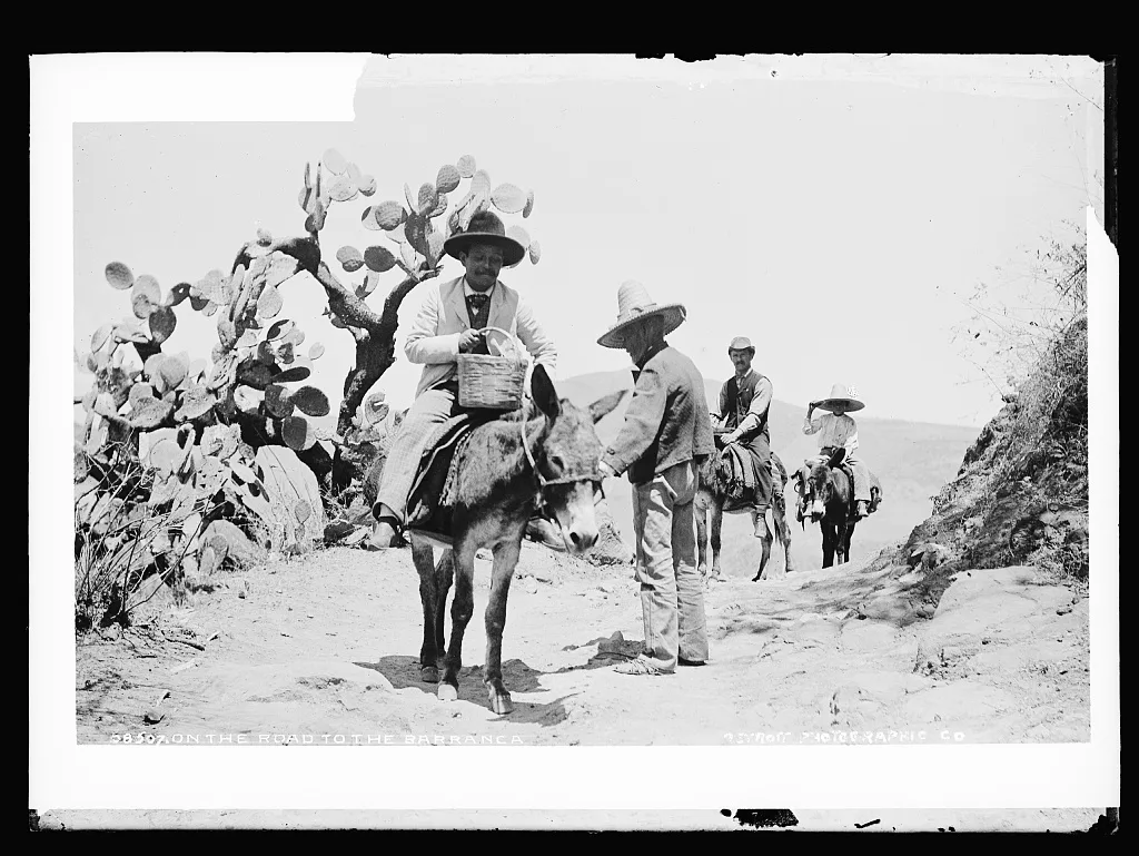 On the road to Barranca, Barranca De Oblatos, Mexico, 1880