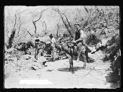 On the trail in the Barranca, Barranca De Oblatos, Mexico, 1880